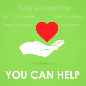 donate to clgw