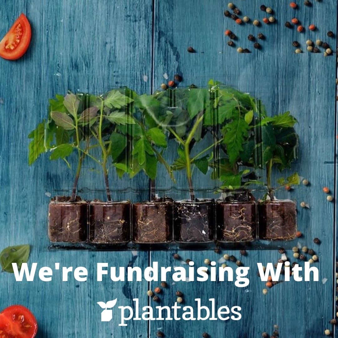 community living guelph wellington, community living plants fundraiser, plantables fundraiser CLGW, plantables