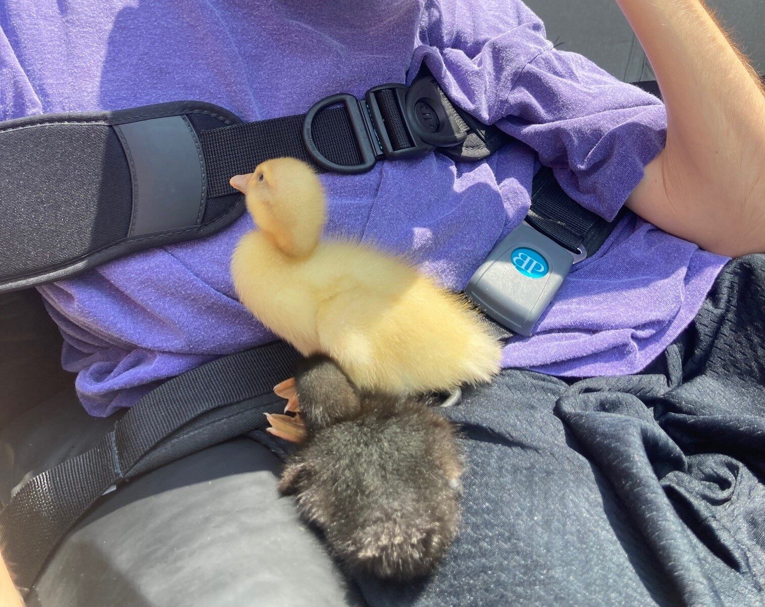 Russell, a person supported by CLGW, with two of the ducklings on his lap.